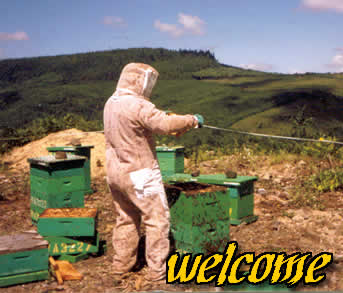 We maintain the hives and bees personally!