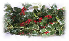 3 lb Mixed Holly Box