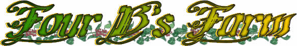 Four Bs Farm, Honey and Holly Sales